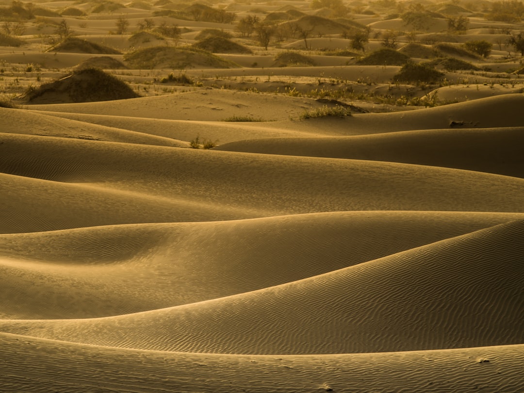 white sand field during daytime