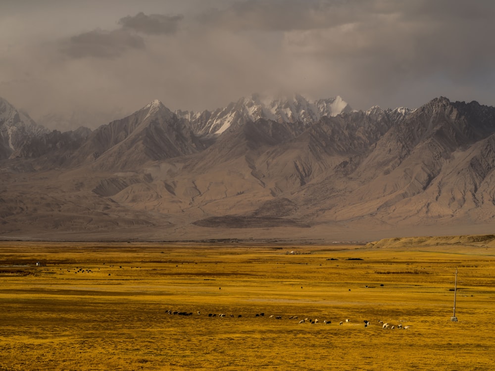 brown and gray mountains under white clouds during daytime