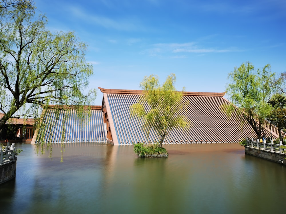 brown wooden fence near green trees and river during daytime