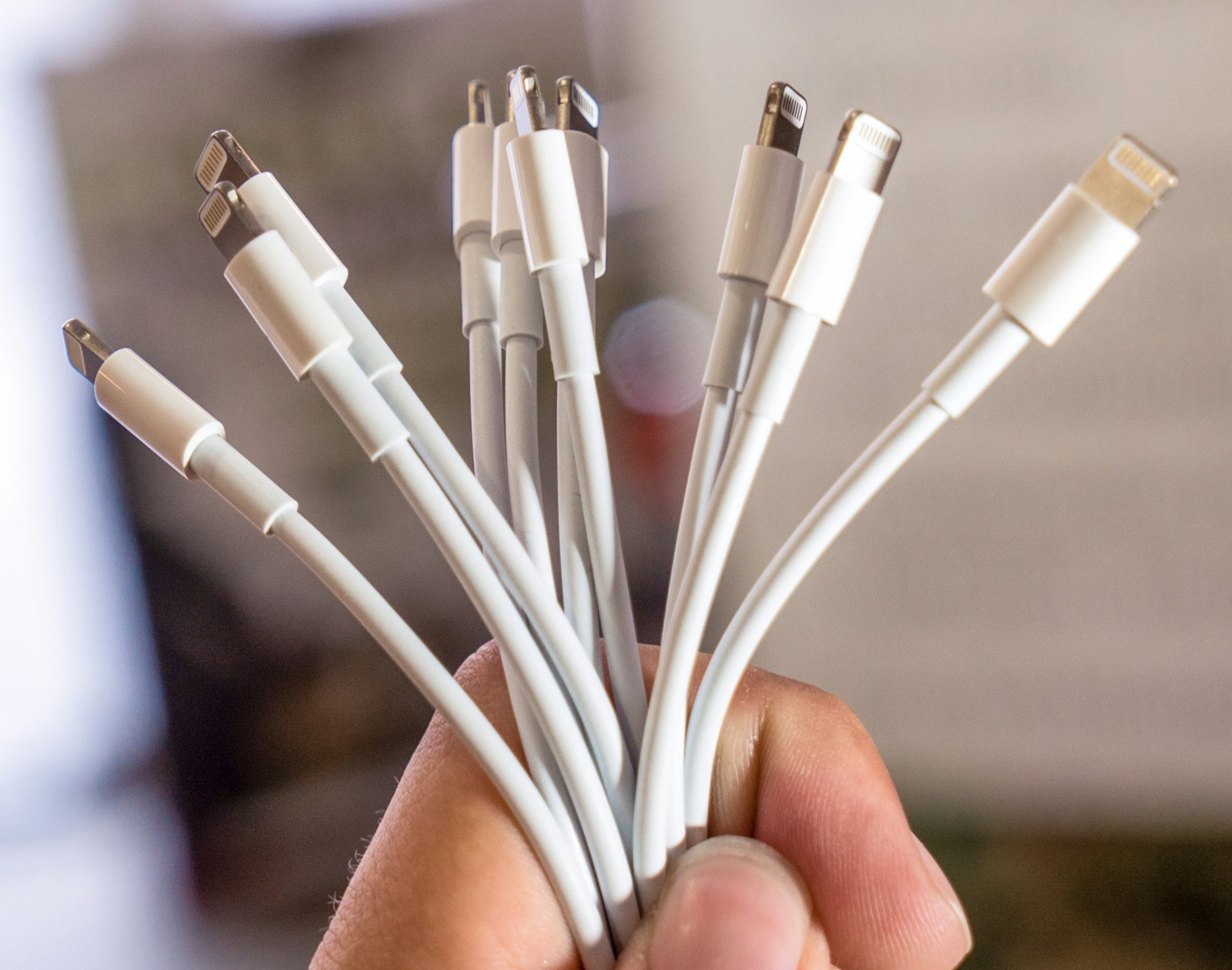 Lightning USB cables! A whole bunch of those! They are used to transfer data and charge iPhones.