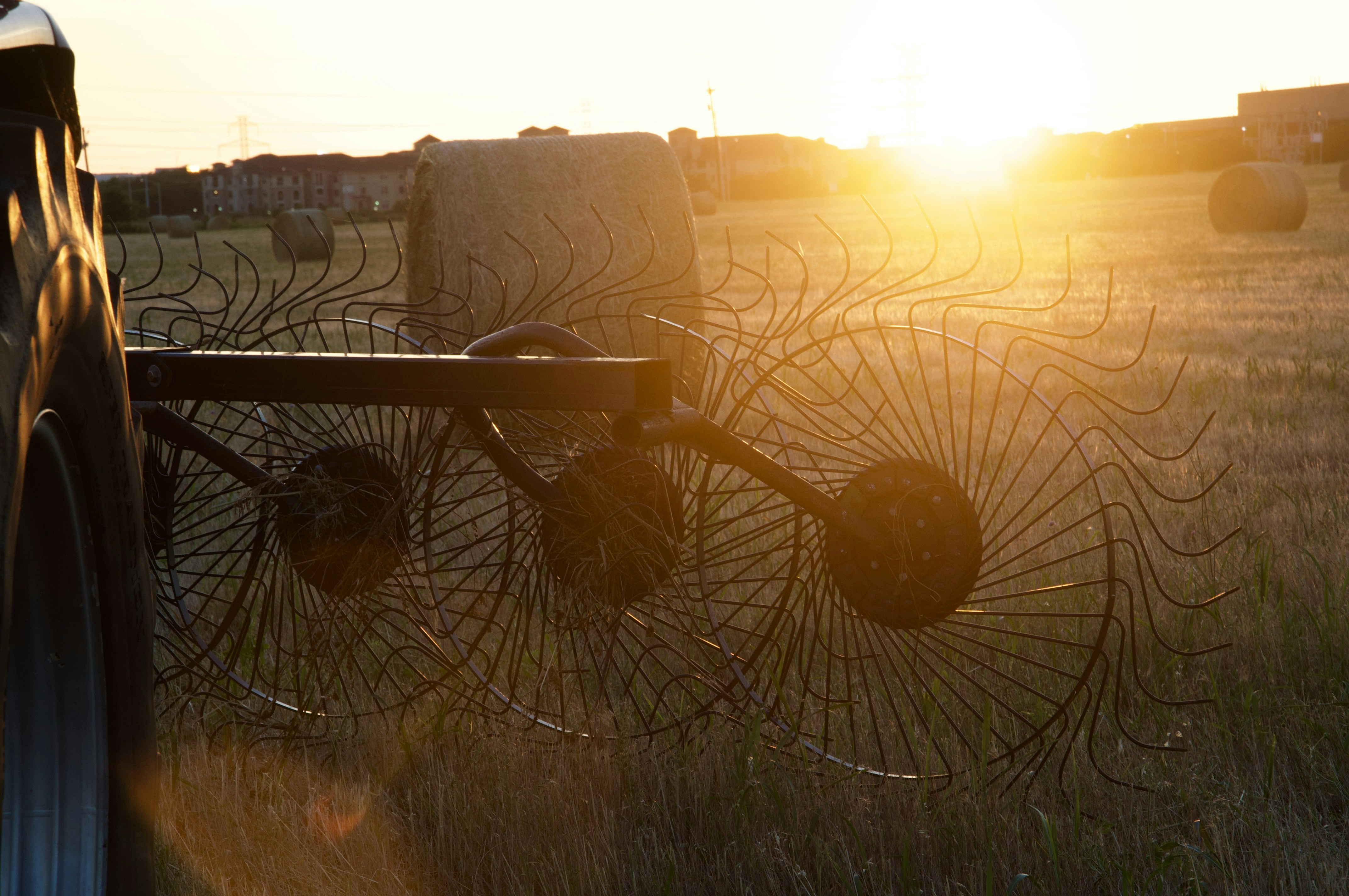 Richardson cityscape