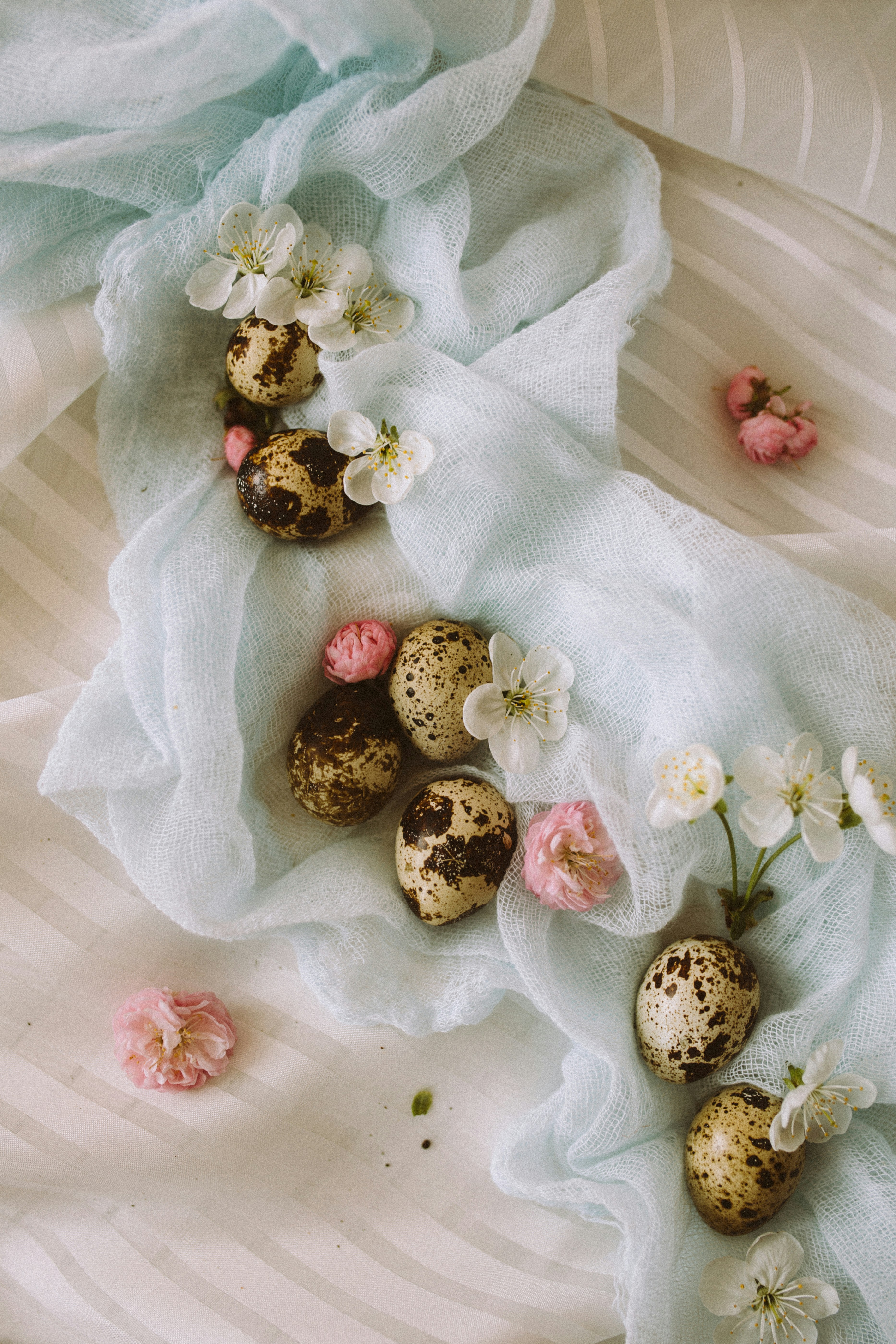 black and brown round fruit on white textile