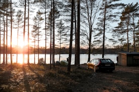 red car parked near trees during sunset