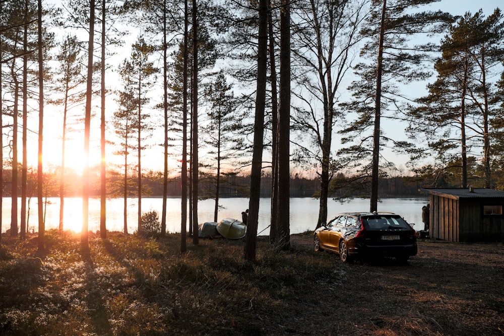 red car parked near trees during sunset