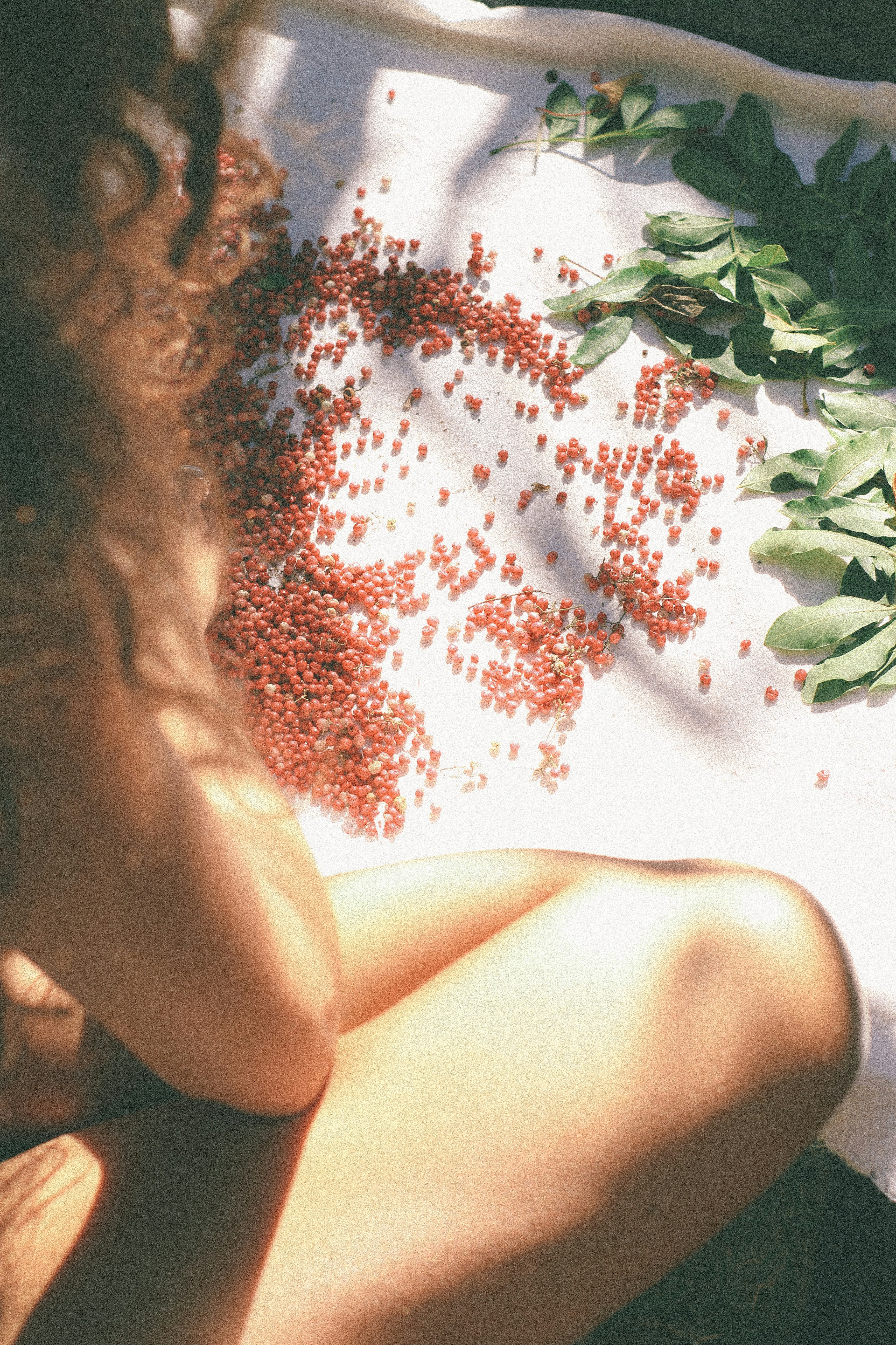 Purisaki Berberine Patch