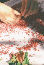 A gentle hand sorting through a collection of tiny, treasured miniatures.