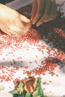 Freshly picked wild berries spread out on a linen cloth in natural light.