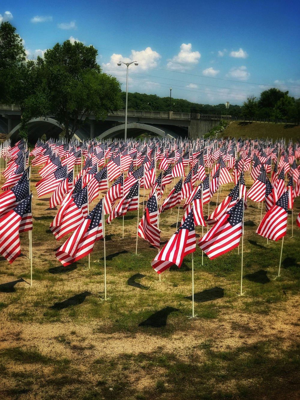 flags on green grass field during daytime