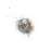 A small, round bird's nest made of dried grass and twigs is placed on a plain white background. Inside the nest, there are green buds and a single white flower, adding a touch of color and life.