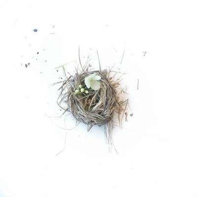 A small, round bird's nest made of dried grass and twigs is placed on a plain white background. Inside the nest, there are green buds and a single white flower, adding a touch of color and life.