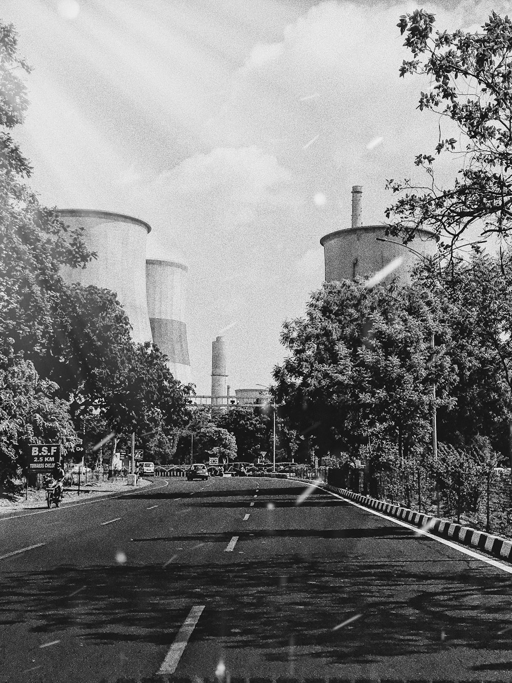 grayscale photo of trees near building