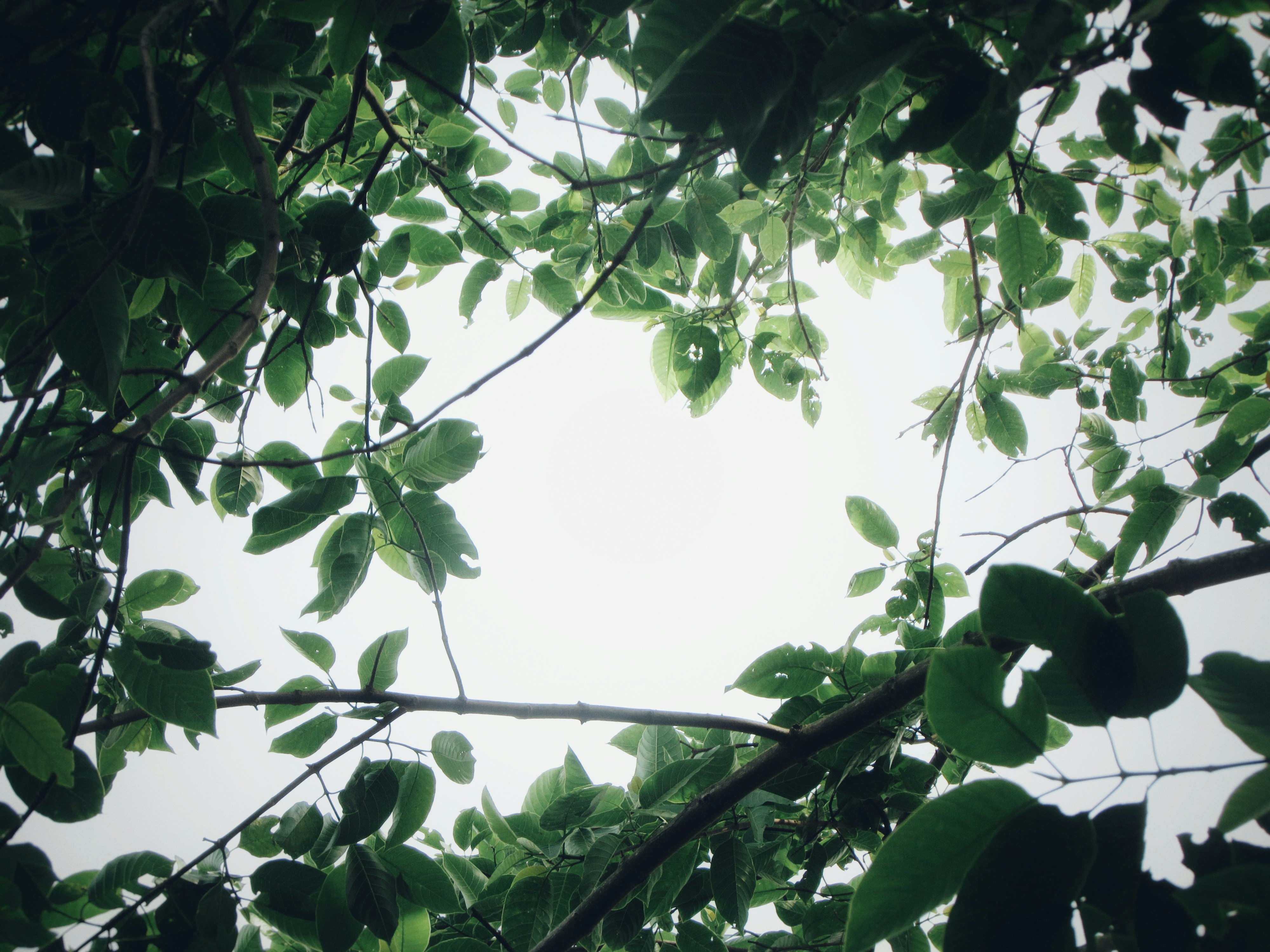 Photo by amlanjyotilahkar