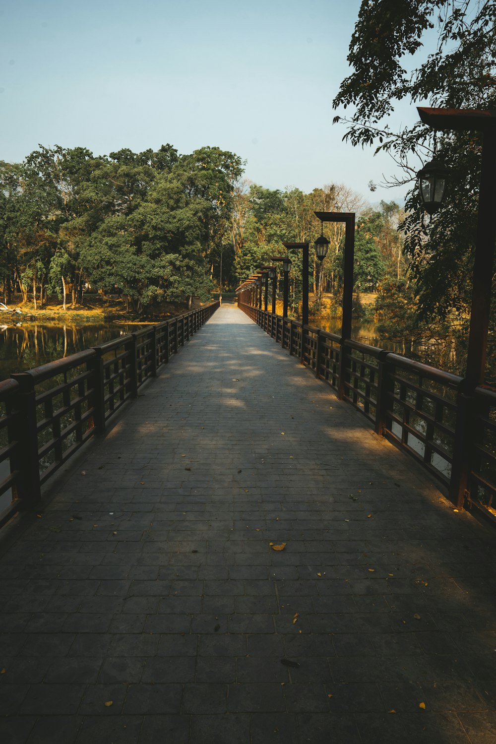 brown wooden bridge over river