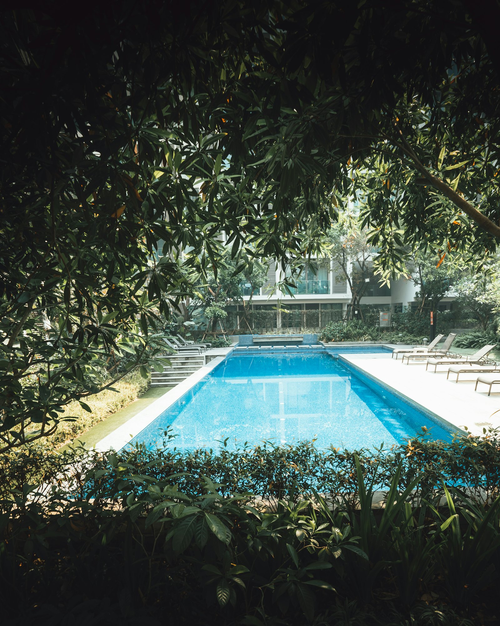 Privater Gartenpool mit klarem Wasser, umgeben von Bäumen
