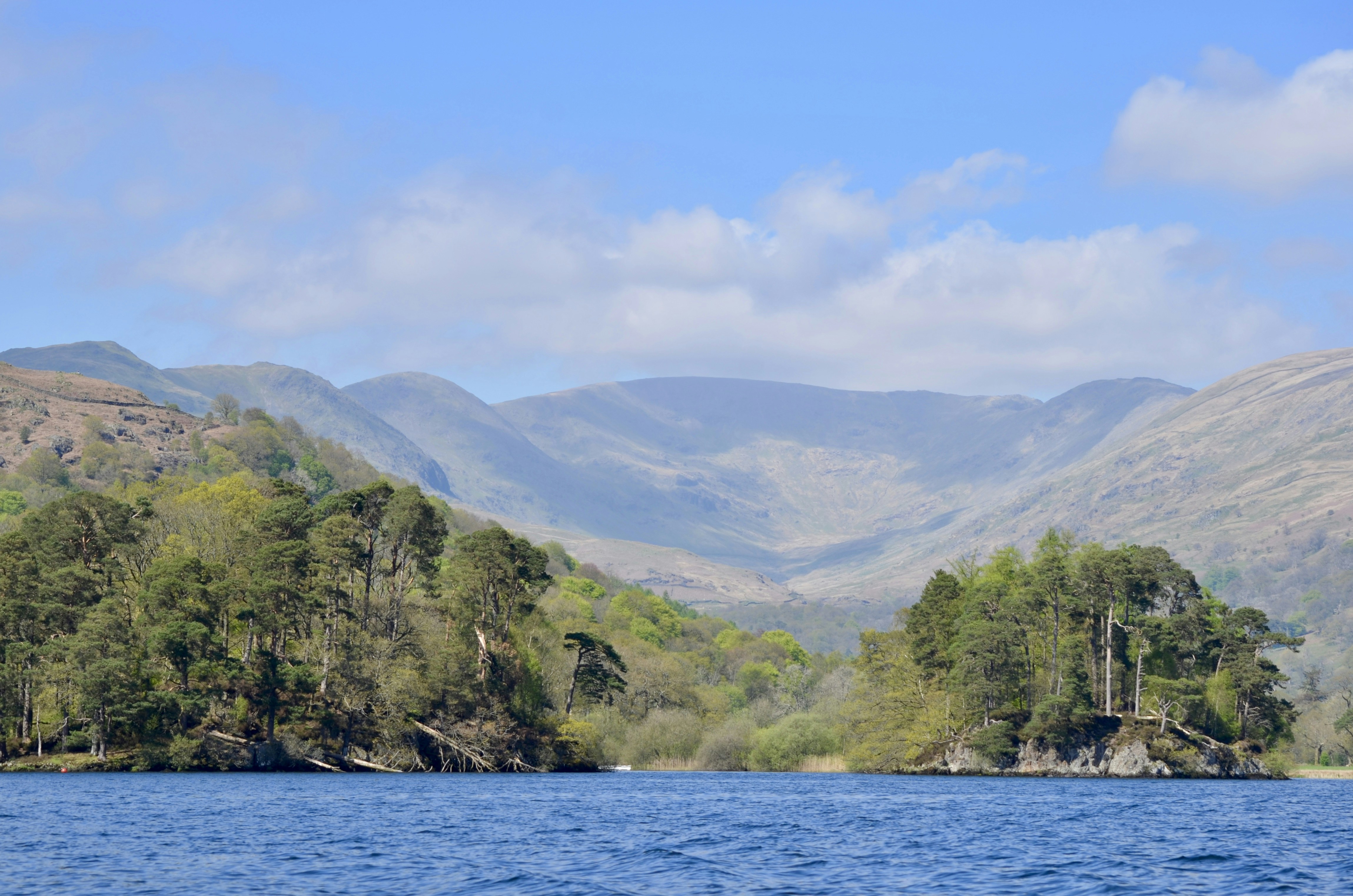 Photo by simonericlee