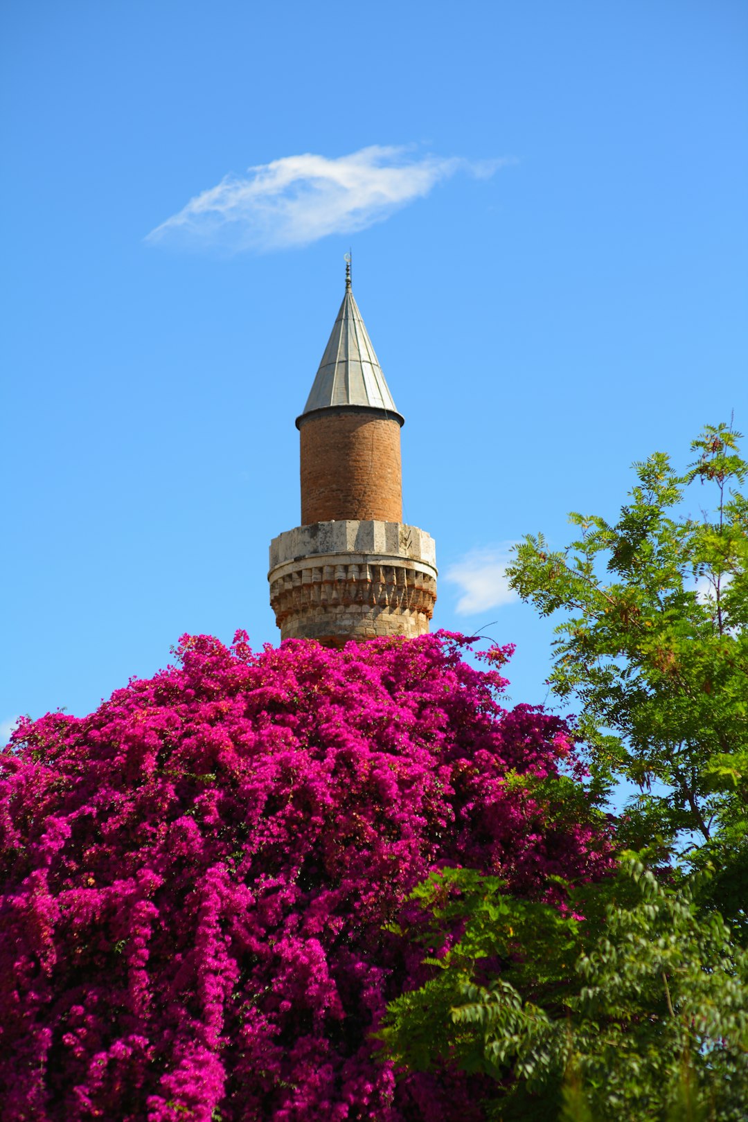 purple flower tree near brown concrete tower