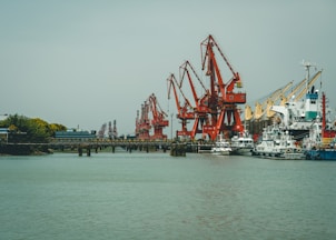 red and white crane on dock during daytime
