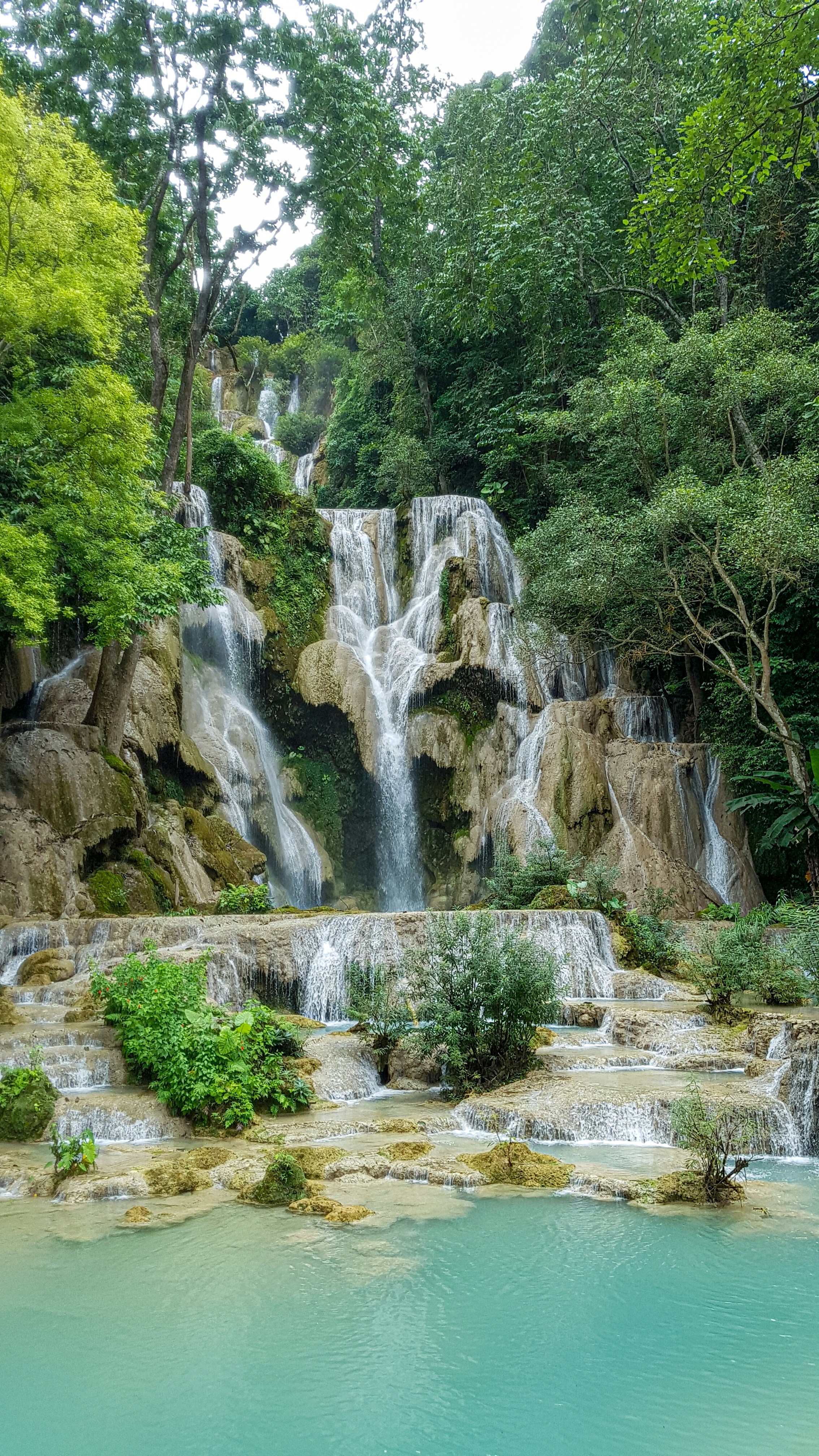 water falls in the middle of the forest
