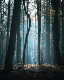 A serene blue-toned forest with sunlight filtering through the leaves, blending nature and technology.
