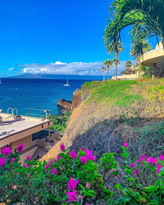 white wooden bench on brown rock formation near body of water during daytime in Lahaina United States