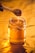 A glass jar filled with golden honey, sitting on a reflective golden surface. A wooden honey dipper is dripping honey into the jar. The jar is wrapped with a piece of thick twine.