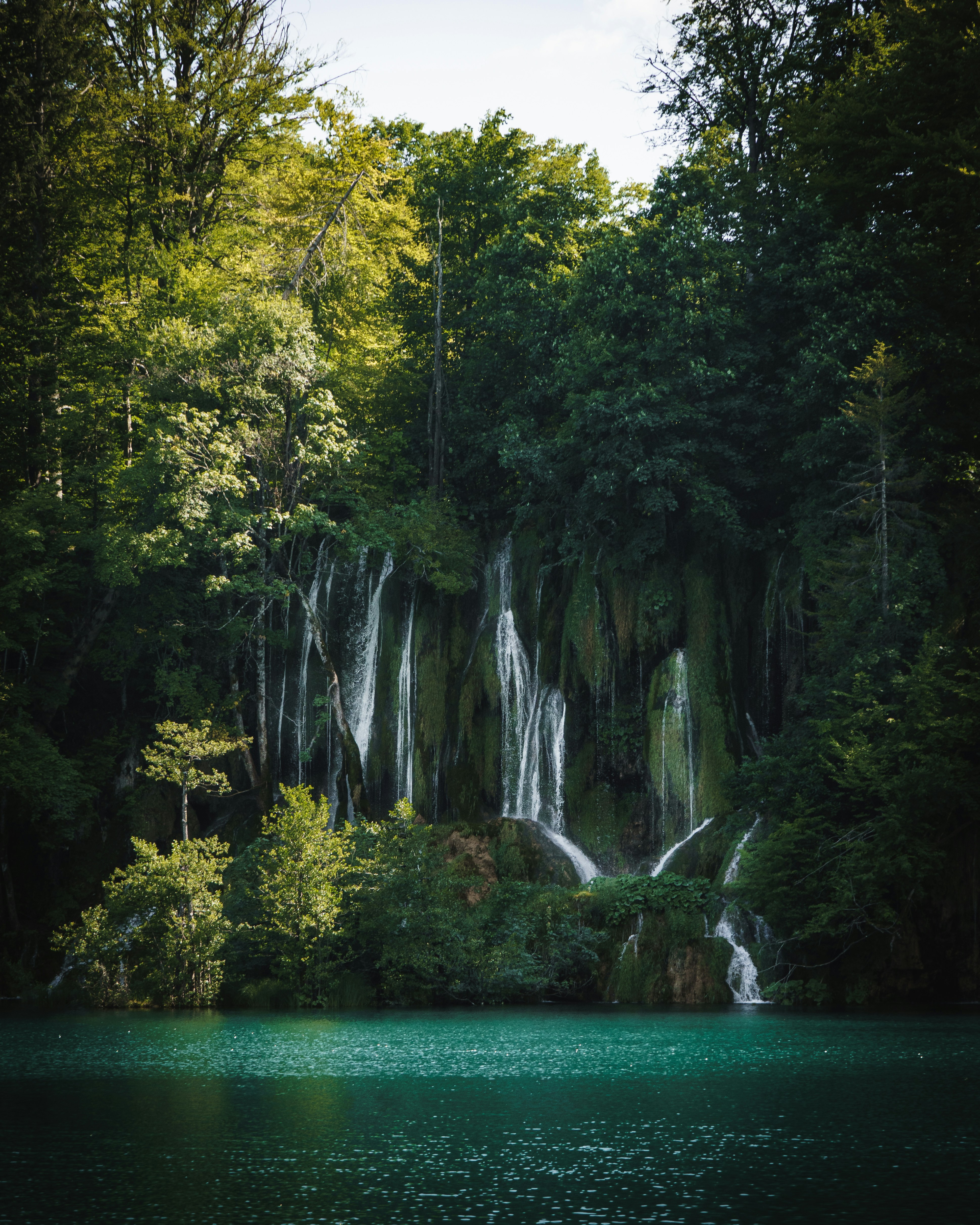 waterfalls in the middle of green trees during daytime