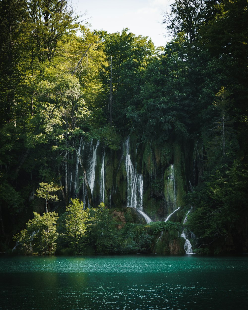 waterfalls in the middle of green trees during daytime