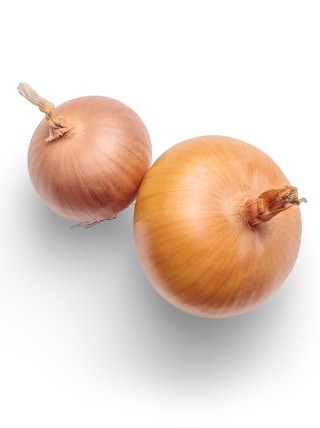 3 white garlic on white background
