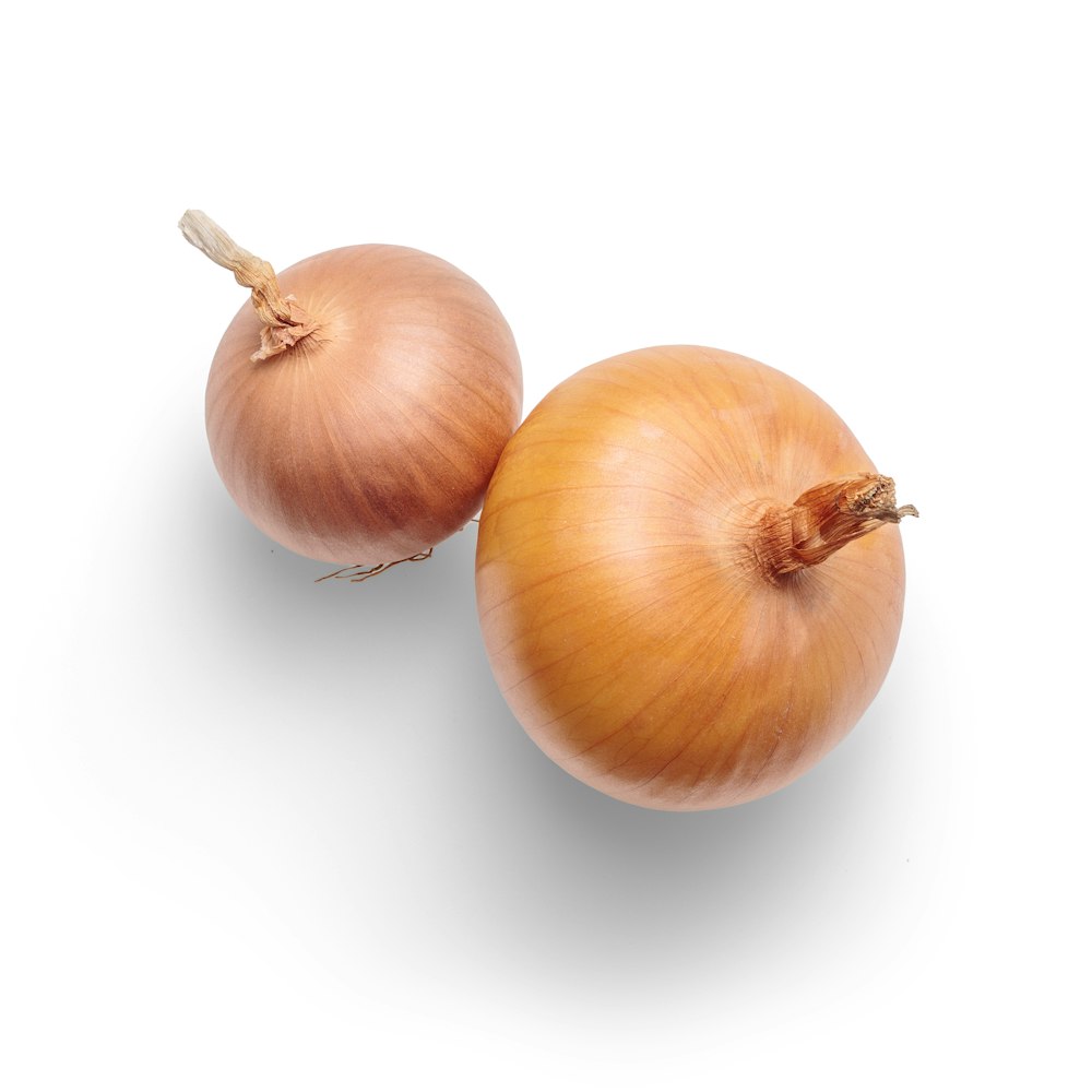 3 white garlic on white background