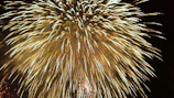Golden fireworks blooming over a luxurious wedding stage lit with warm lights.