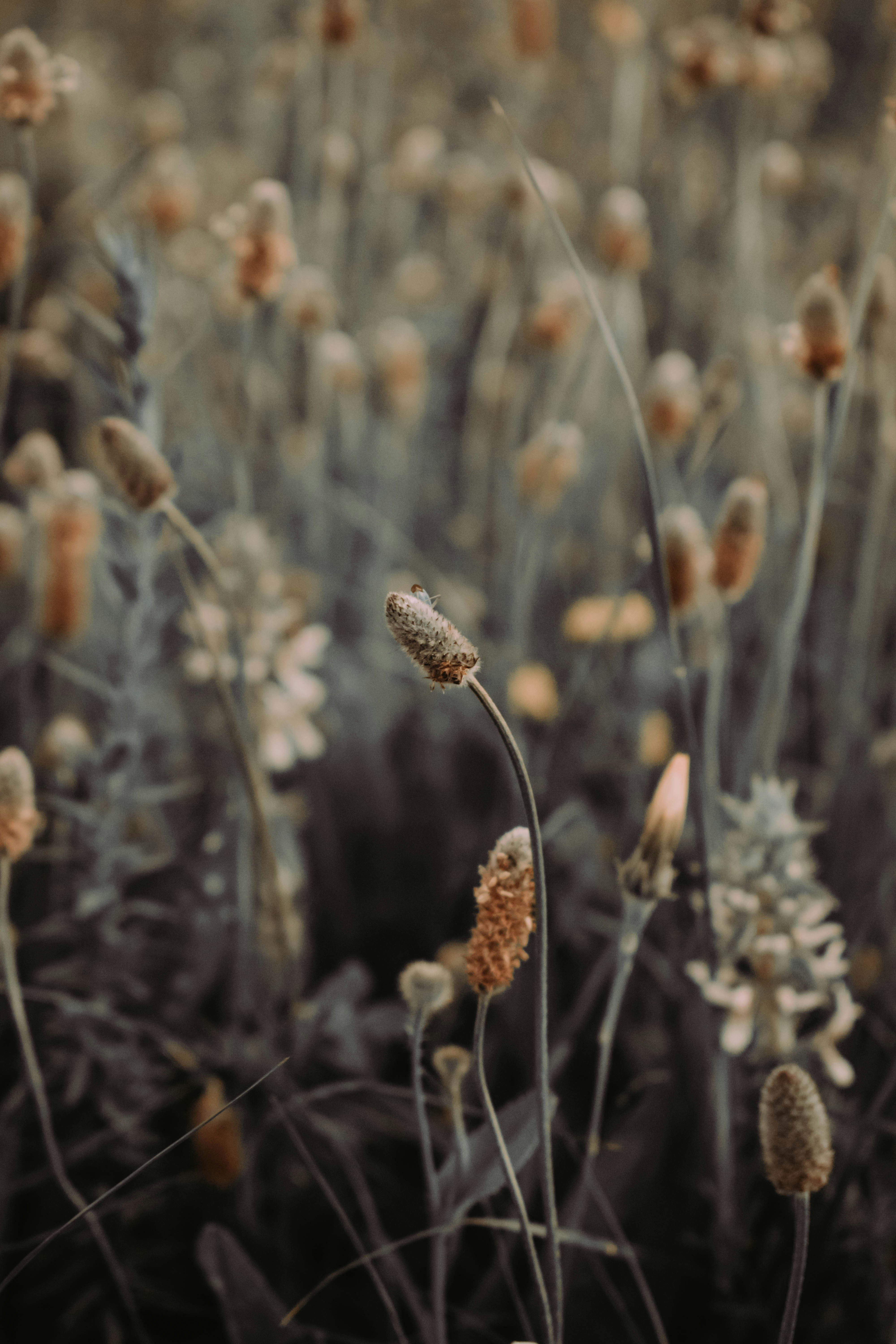 Photo by bilal_ayadi