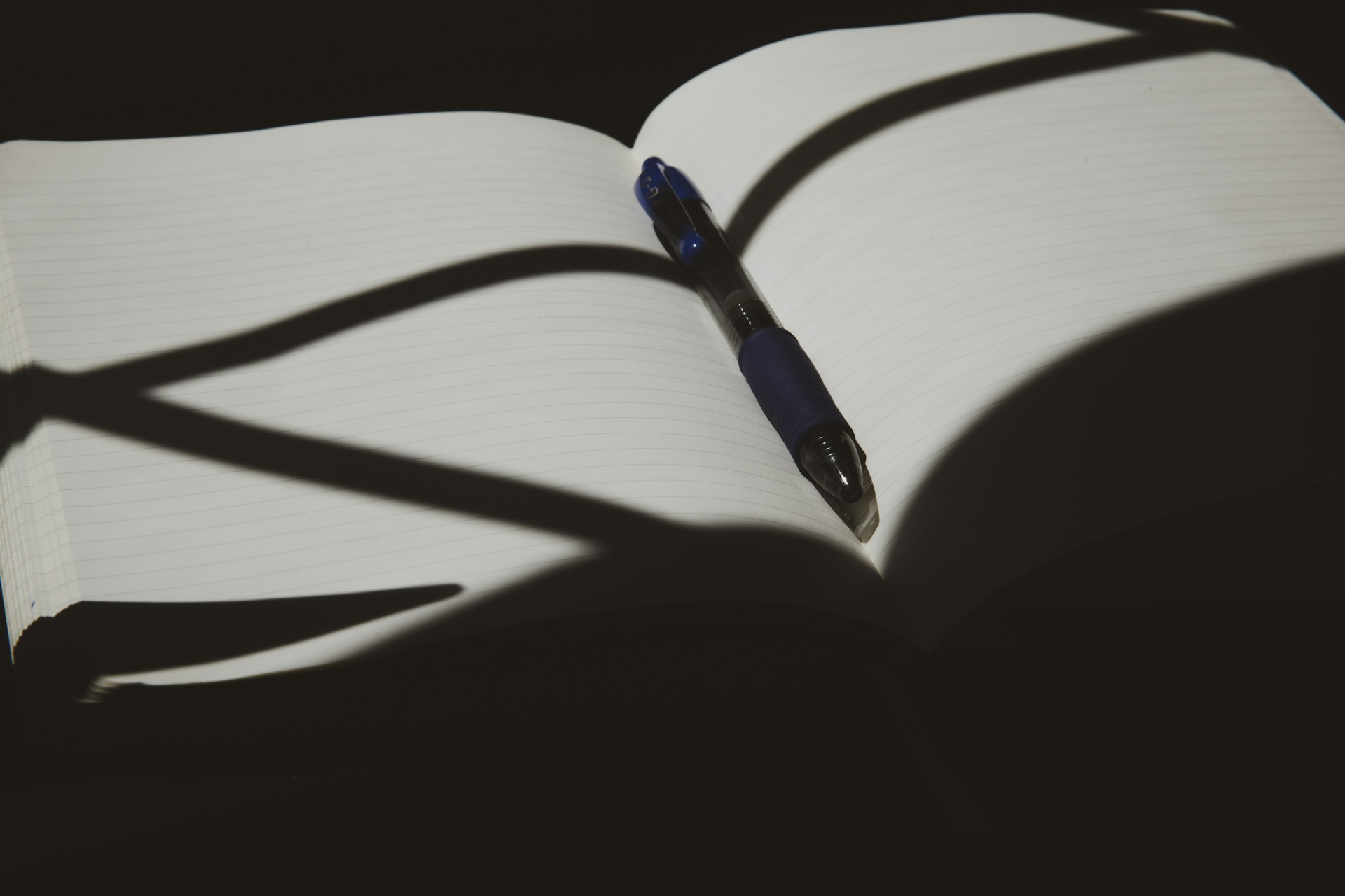 black and white bed linen