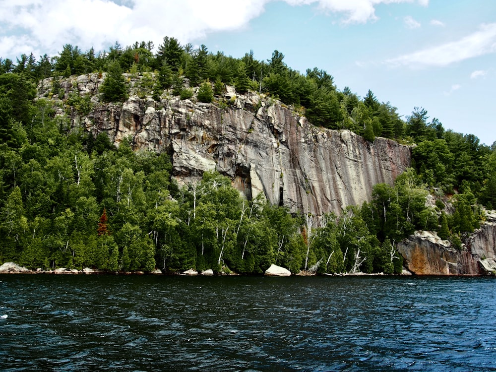 green trees on brown rock formation beside body of water during daytime