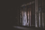 A dimly lit bookshelf with a row of books lined up, showing mainly the spines of the books which are mostly dark with some reflective surfaces. The lighting creates a moody and mysterious atmosphere.