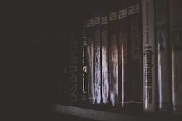 A shadowy bookshelf filled with dark fantasy and mystery novels under soft moody lighting.