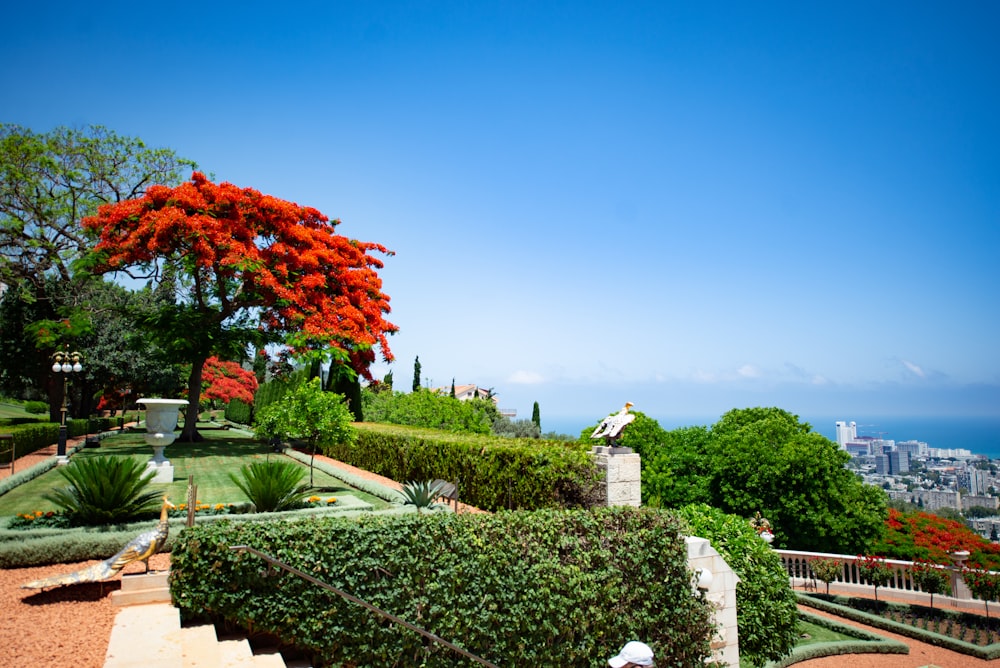 green trees and plants under blue sky during daytime