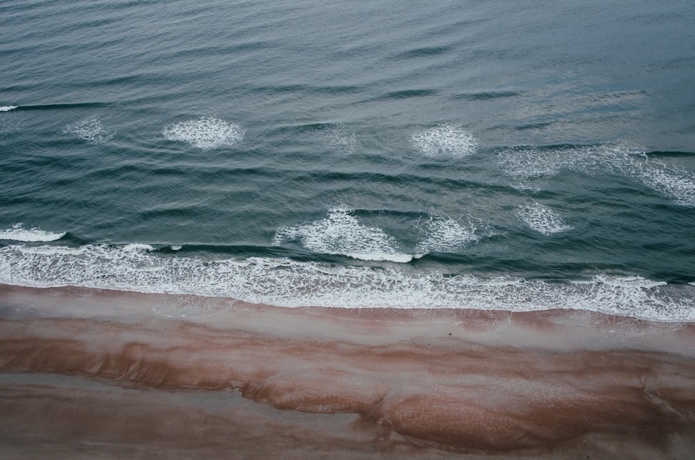 body of water during daytime