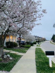 A neighborhood street showcasing well-maintained homes under Cherry Propco care.