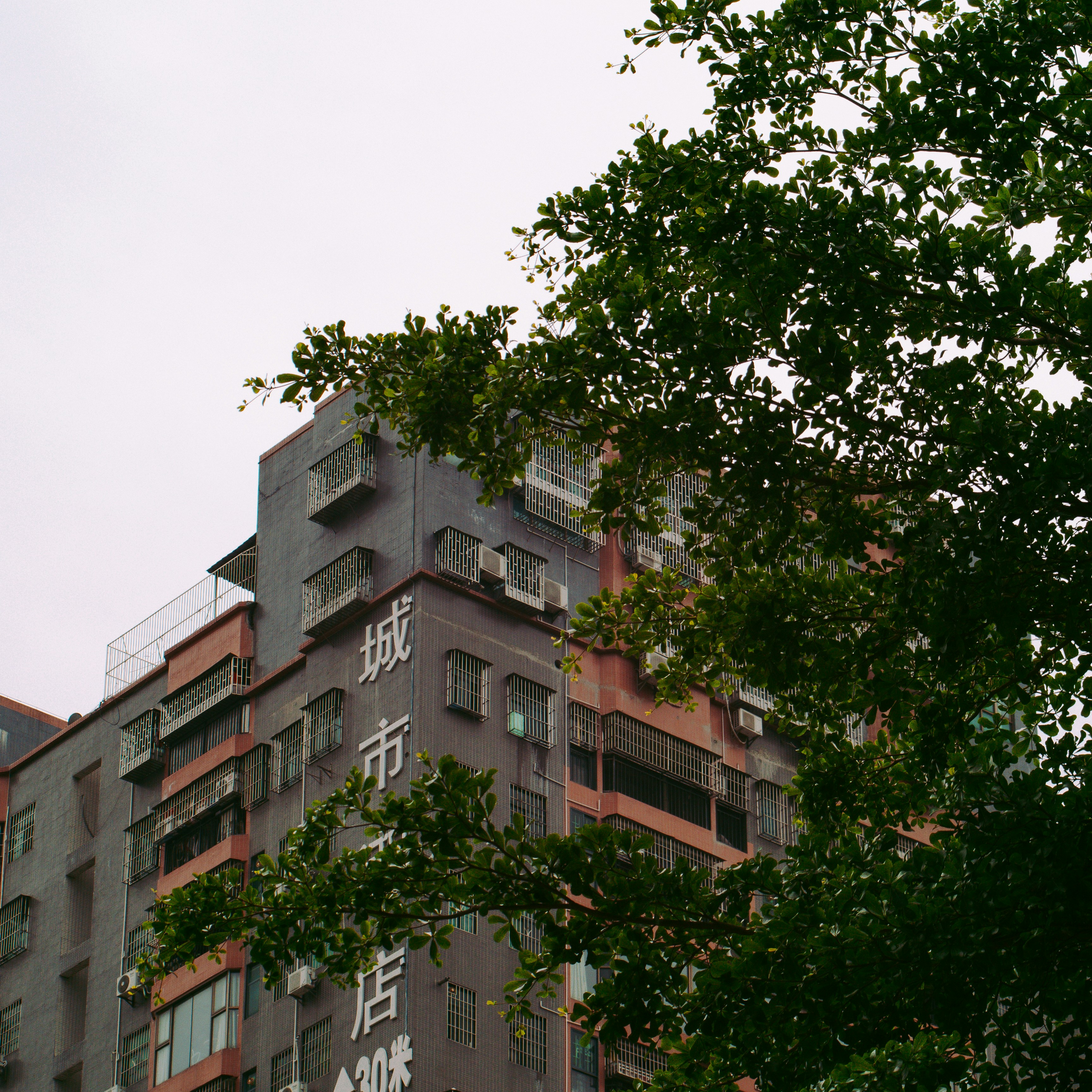 Photo by joshuafernandez