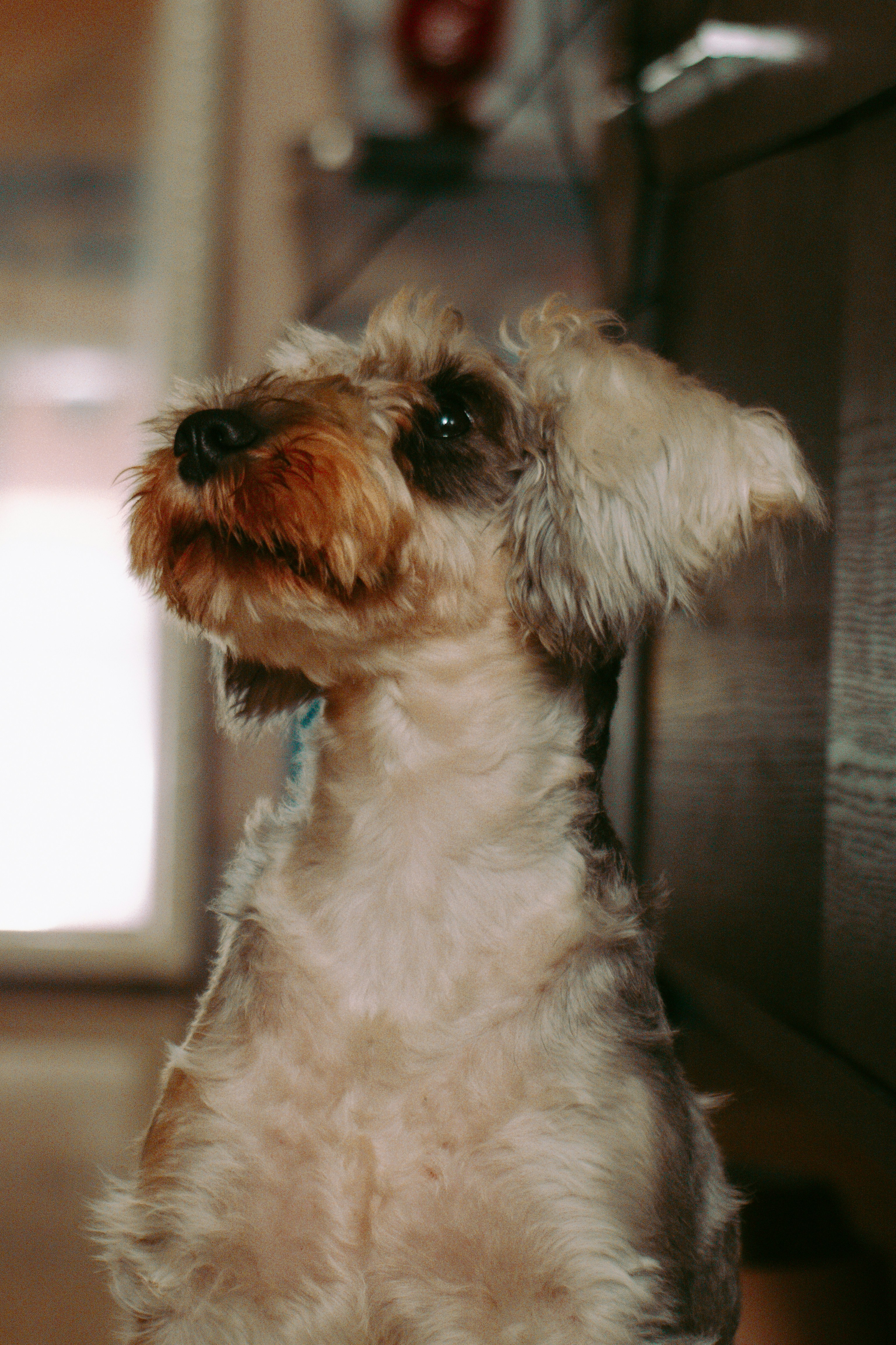 Photo by joshuafernandez