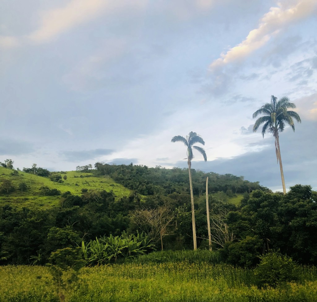 Finca rodeada de naturaleza