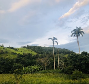 Finca rodeada de naturaleza