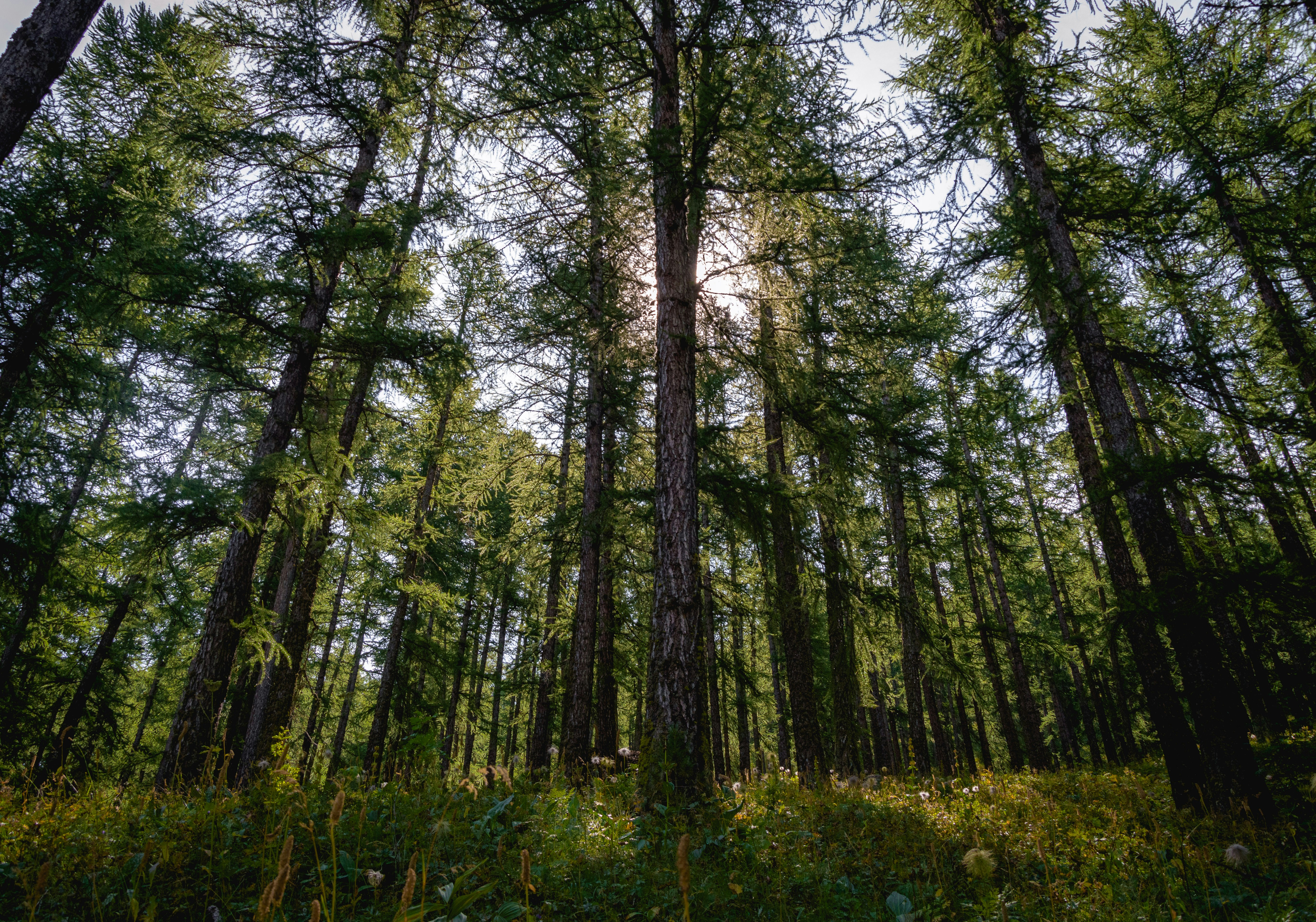 Photo by gabryelshots_