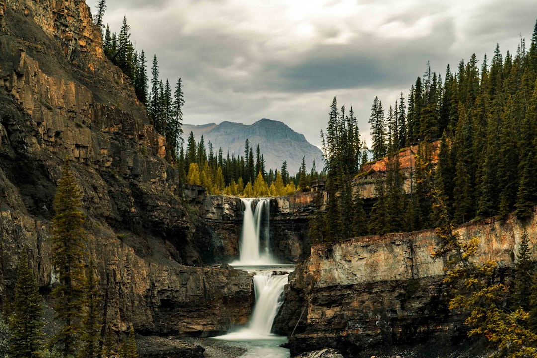 Waterfall photo spot Crescent Falls Icefields Parkway