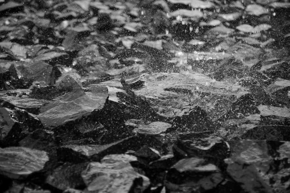 Foto en escala de grises de salpicaduras de agua