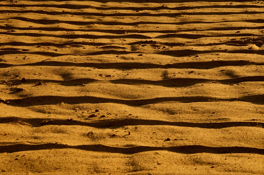 人の影のある茶色の砂