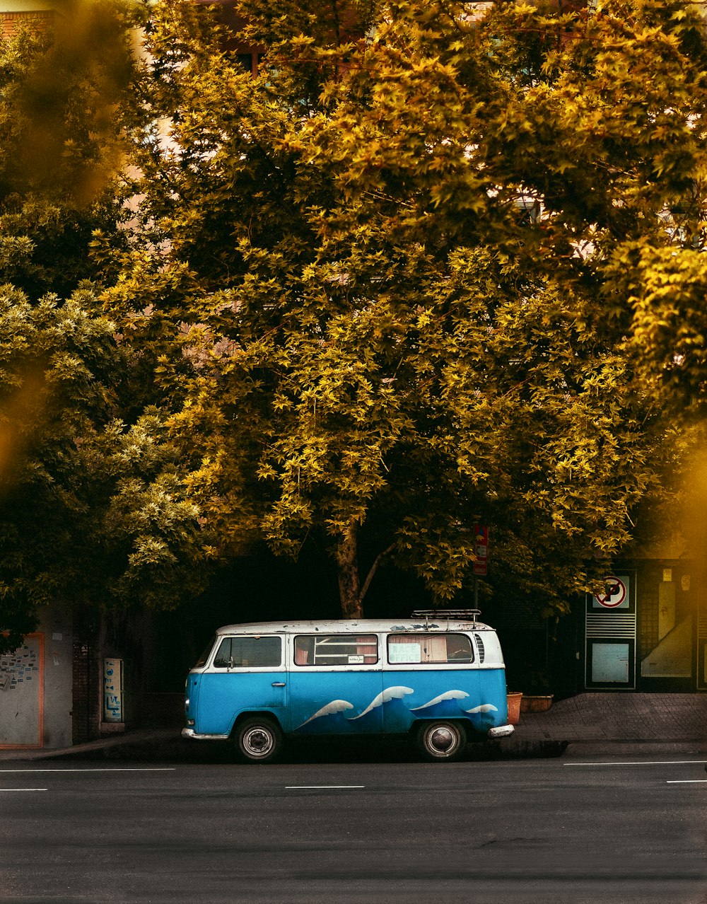 blue and white volkswagen t-2 parked beside green trees during daytime