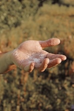 person holding white snow during daytime