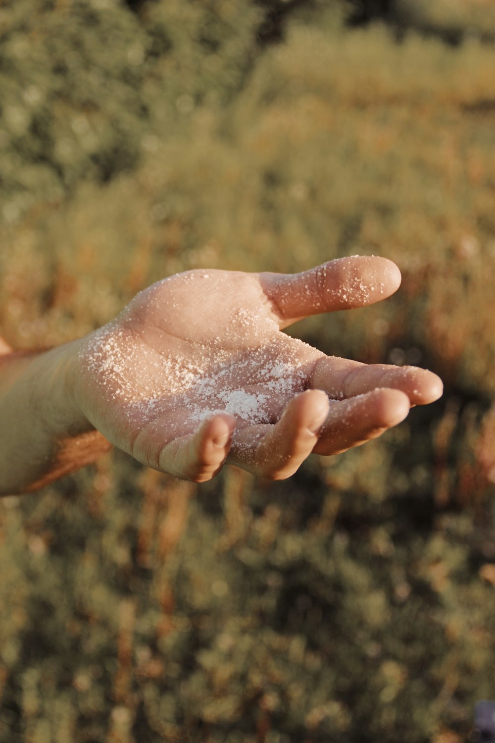 person holding white snow during daytime