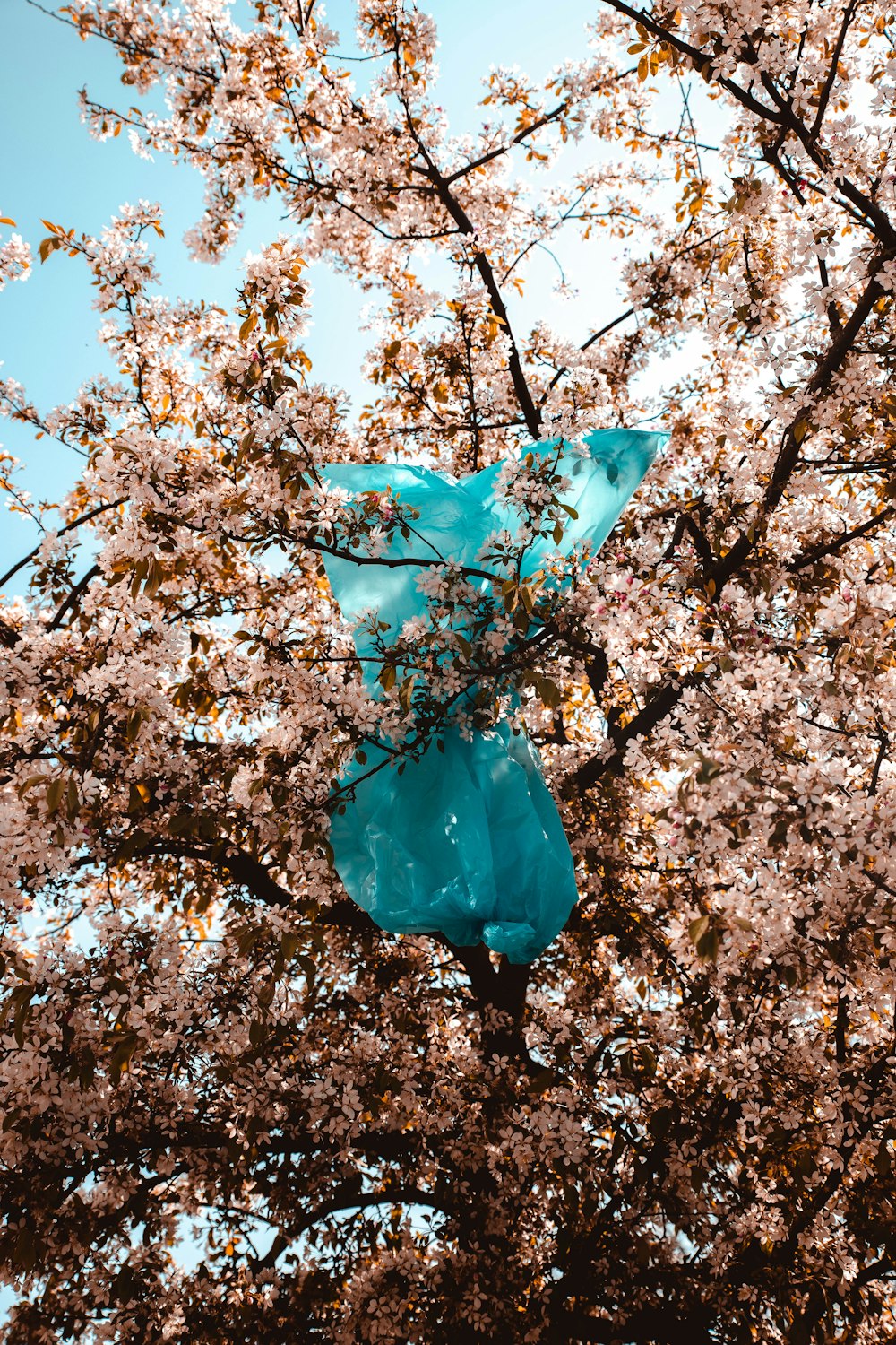 blue and white floral umbrella